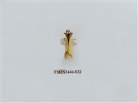 藏品(雙帶長苔蛾)的圖片